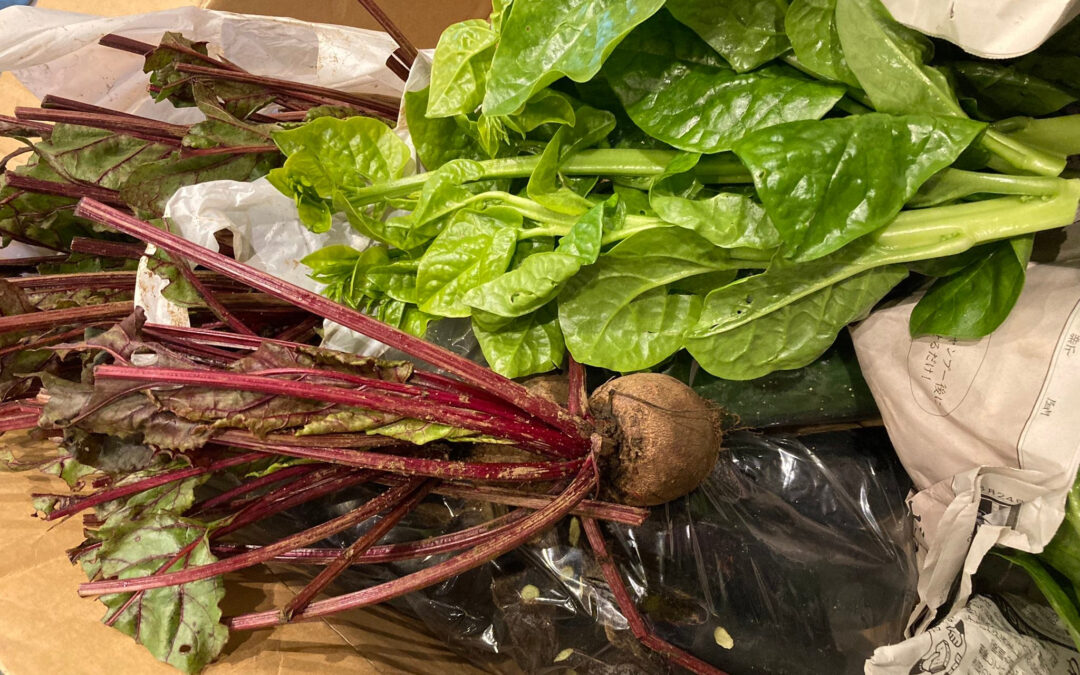 久々に補給物資投稿笑的な話し♪