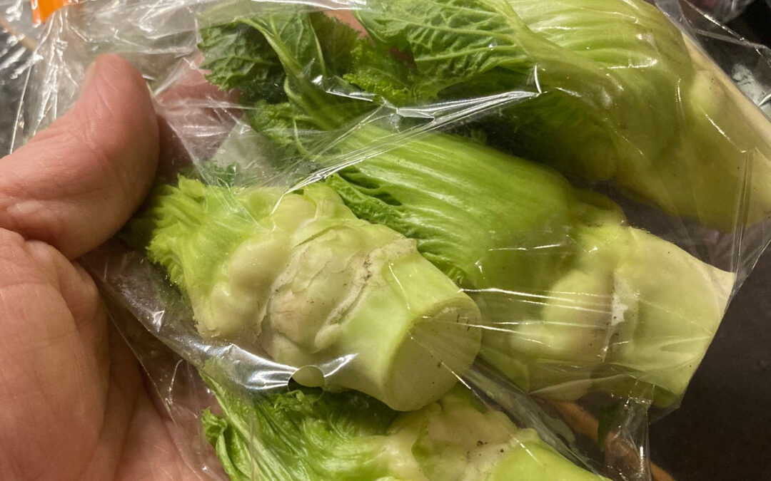 春を愛する人は…きっと花粉症じゃない人〜的な話し♪