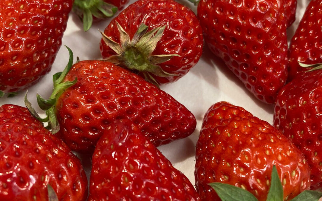 一月は体感一週間ぐらいで終わりましたとさ的な話し