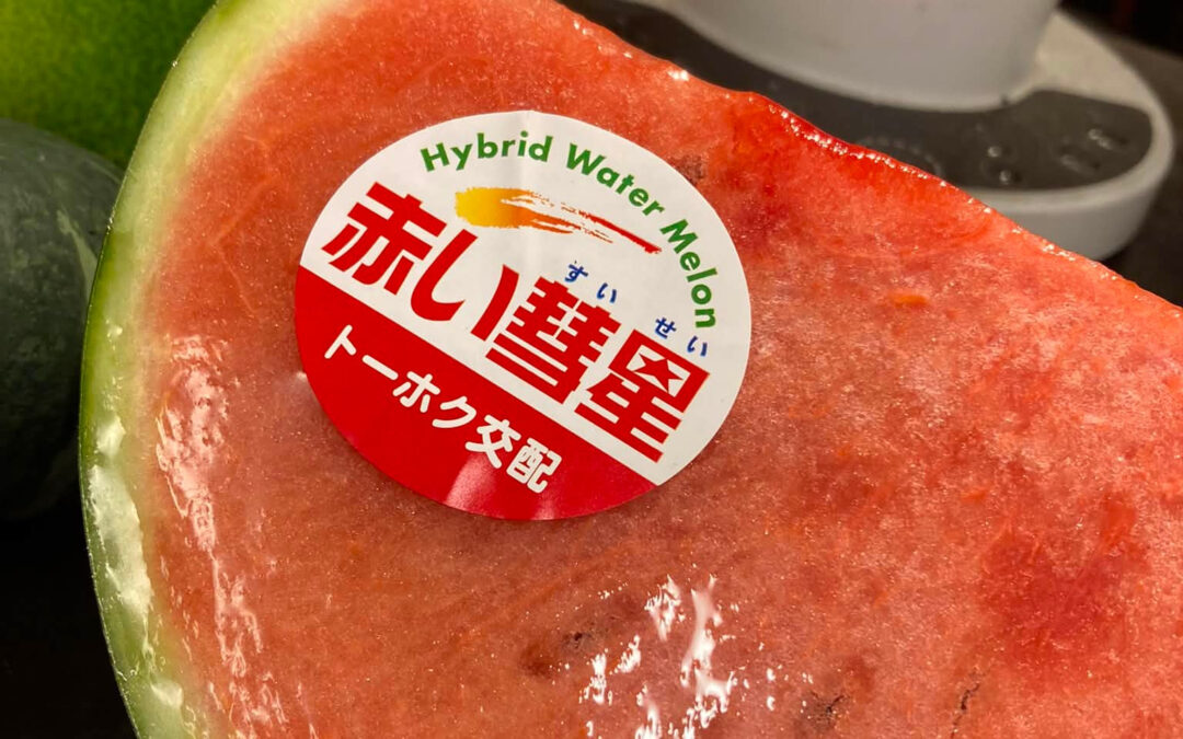 奴が来る！的な話し♪